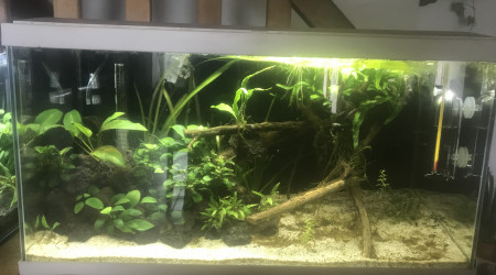 La fin de la catastrophe