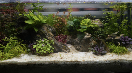 aquarium Nano 50 litres