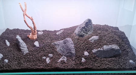 Hardscape prévisionnel 2