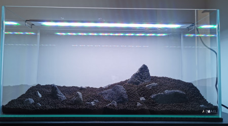 Hardscape prévisionnel