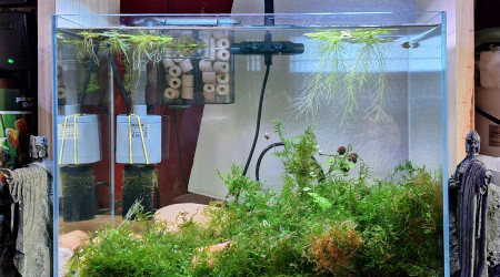 Plein d'eau depuis une semaine