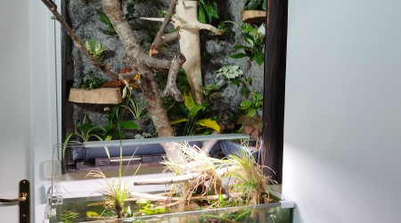 1ère vue d'ensemble du projet