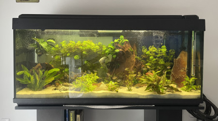 aquarium Bouc