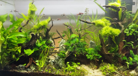 Couché de soleil sur Rift Valley