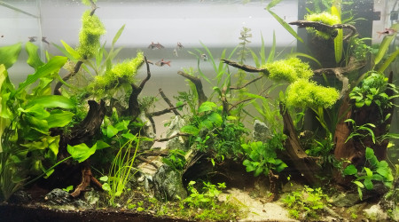 Relooking fond Blanc