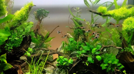 Point de fuite refait