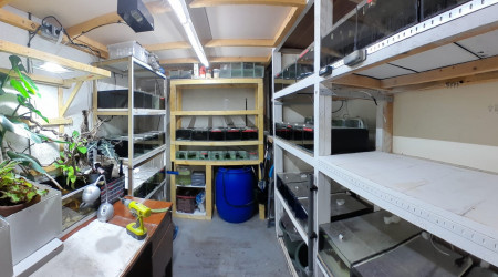 aquarium fishroom