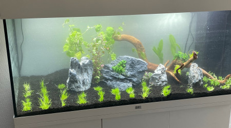 aquarium Juwel 180l
