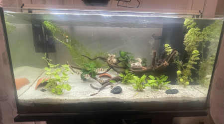 aquarium Aqua principal
