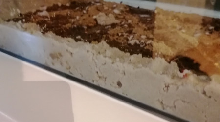 Mise en place du substrat