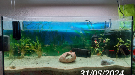 aquarium Premier 80x30x50