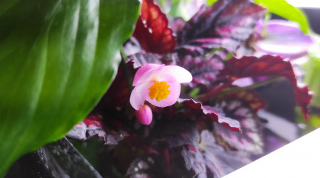 Belle évolution malgré tout