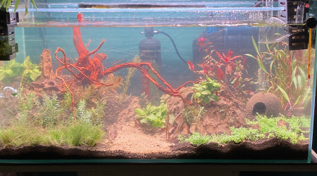 aquarium New Life