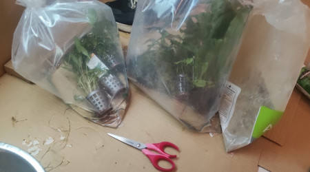 arrivée plantes 200L eau douce 23/10/2023