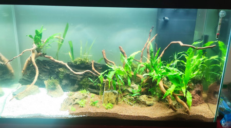 200L eau douce 26/10/2023