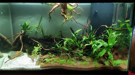 200L eau douce 01/11/2023