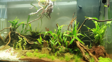 200L eau douce 05/11/2023