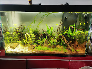 200L eau douce 02/12/2023