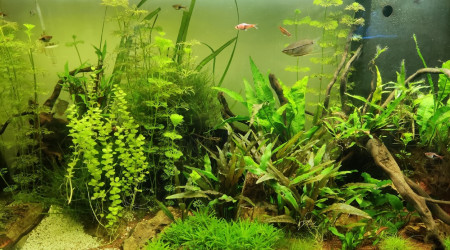 200L eau douce 19/02/2024