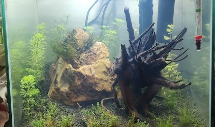 33L eau douce 5/11/2023