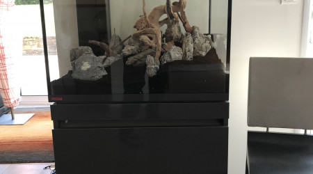 Préparation du scape