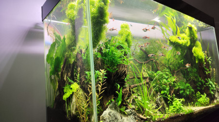 2 juillet 2024 - Le bac commence à prendre des couleurs