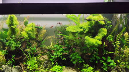 2 juillet 2024 - Le bac commence à prendre des couleurs