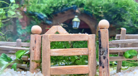 Fin de la première phase