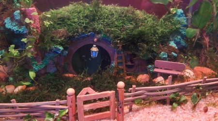 Impression soleil couchant