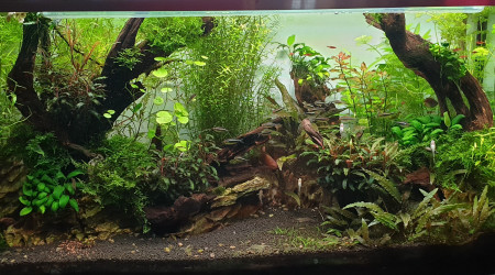 Néon noir V2 : état initial