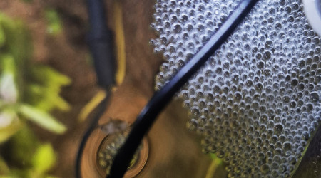 Premier nuage de bulle !