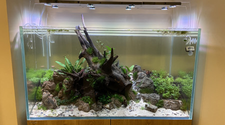 Plantation terminée