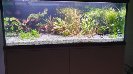 Nouvelle disposition !