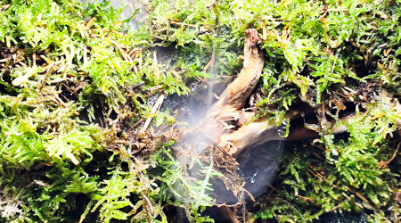 Test du système de brumisateur