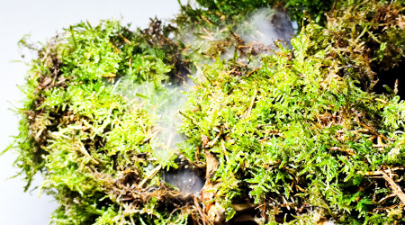 Test du brumisateur vue 2