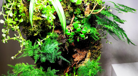 Zoom sur la végétation 4