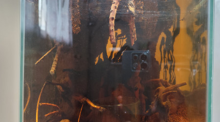 La zone aquatique, sol en mode présentation définitif