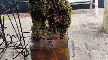 Pose de la mousse vue de face