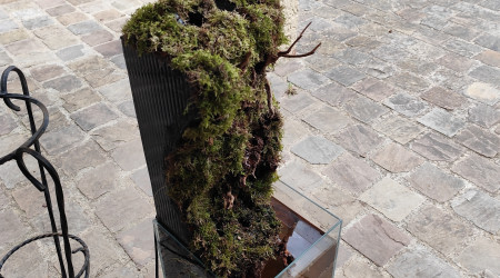 Début de la végétalisation avec la pose de la mousse