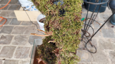 Pose de la mousse vue de côté