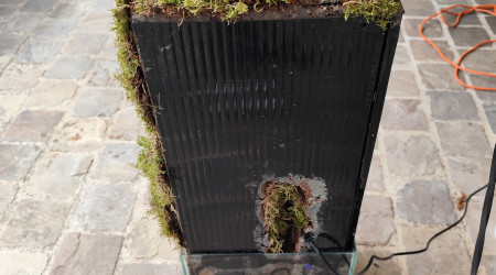 Pose de la mousse vue de dos