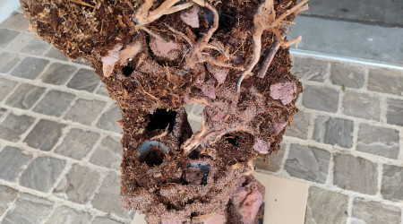 Pose de l'imperméabilisant et le mélange de tourbe, fibre de coco, et sphaigne.