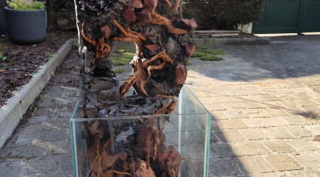 Vue d'ensemble dans le bac.