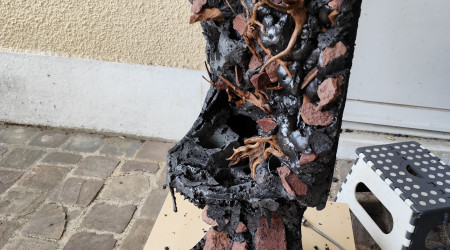 La mousse de la zone paludarium sculpté.