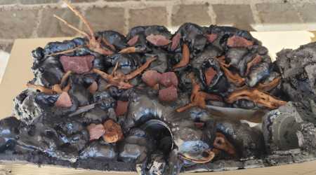 Pose de la mousse sur la partie paludarium , état brut