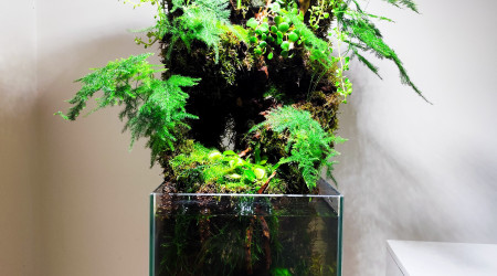 Vue d'ensemble après la végétalisation définitive