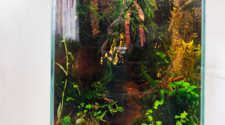 Le bac éclairé par les rayons du soleil