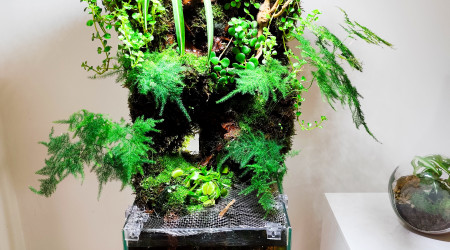 Rendu du rétro éclairage sur le palu