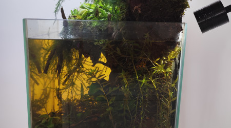 Autre vue avec le spot de rétro éclairage