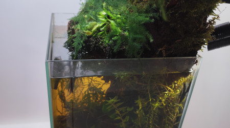 Vue de profil avec le spot